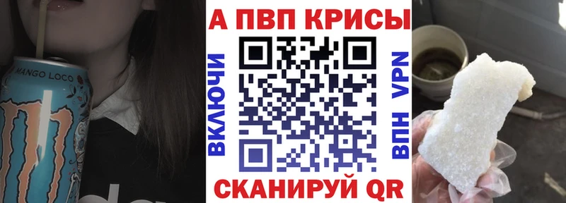 A PVP СК  Грязовец 