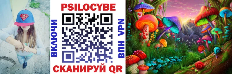 как найти закладки МЕГА как войти Галлюциногенные грибы Psilocybine cubensis Грязовец