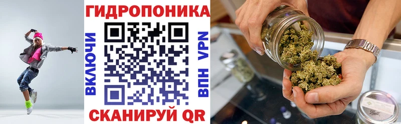 кракен рабочий сайт Грязовец Конопля OG Kush